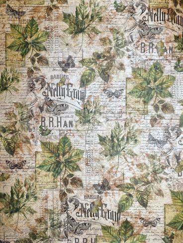 Ciao Bella - Designpapier "Cabinet of Curiosities Pearl-Copper" Deluxe Paper Pack A4 - 5 Bogen