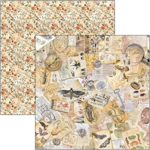 Ciao Bella - Designpapier "Cabinet of Curiosities" Paper Pack 8x8 Inch - 12 Bogen