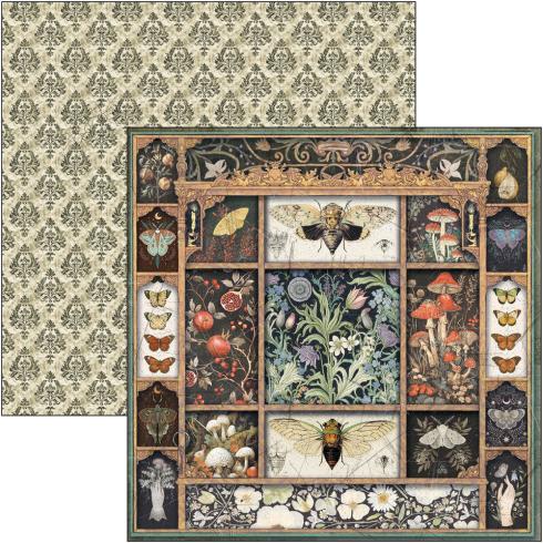 Ciao Bella - Designpapier "Cabinet of Curiosities" Paper Pack 8x8 Inch - 12 Bogen