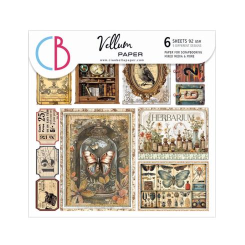 Ciao Bella - Pergamentpapier "Cabinet of Curiosities" Vellum 6x6 Inch - 6 Bogen