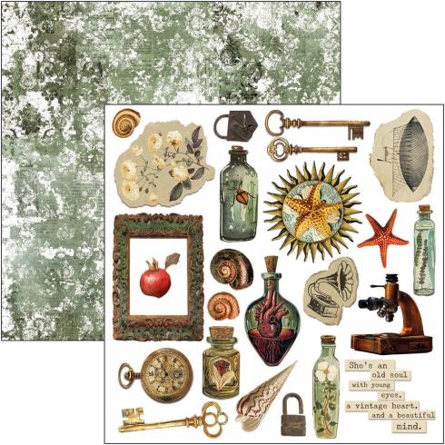 Ciao Bella - Stanzteile "Cabinet of Curiosities" Fussy Cut Pad - 24 Bogen