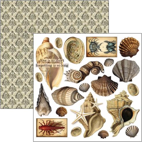 Ciao Bella - Stanzteile "Cabinet of Curiosities" Fussy Cut Pad - 24 Bogen