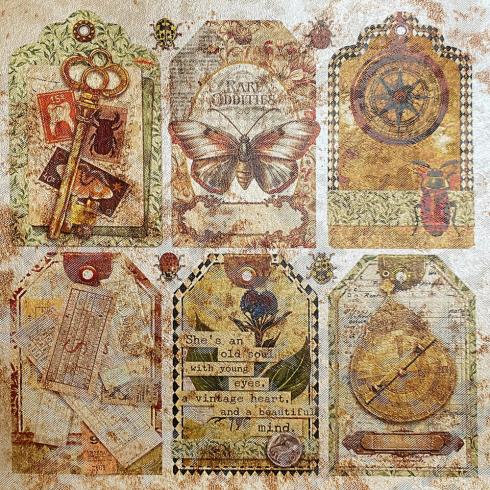 Ciao Bella - Designpapier "Cabinet of Curiosities Pearl-Copper" Deluxe Paper Pack 6x6 Inch - 5 Bogen
