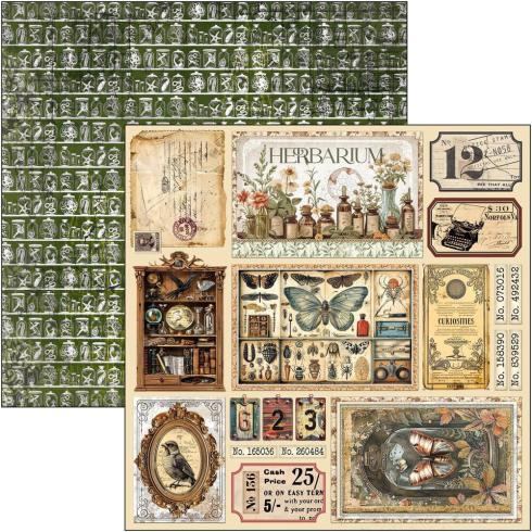 Ciao Bella - Designpapier "Cabinet of Curiosities" Paper Pack 12x12 Inch - 12 Bogen