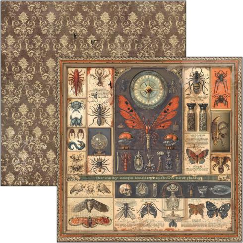 Ciao Bella - Designpapier "Cabinet of Curiosities" Paper Pack 12x12 Inch - 12 Bogen