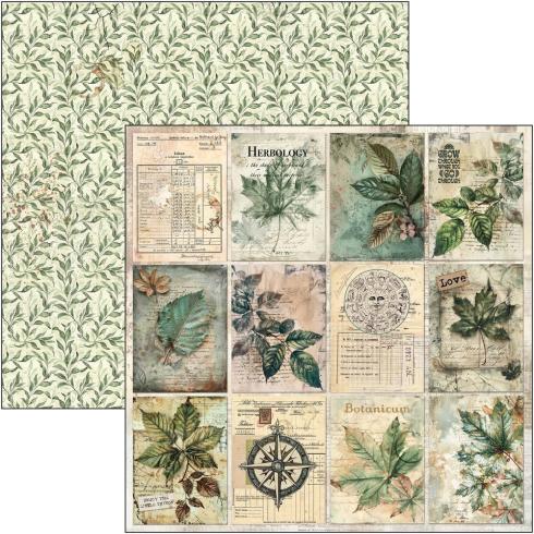 Ciao Bella - Designpapier "Cabinet of Curiosities" Paper Pack 12x12 Inch - 12 Bogen