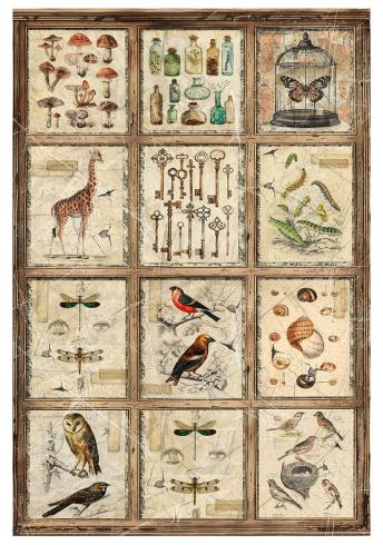 Ciao Bella - Decopatch Papier "Cabinet of Curiosites Mixed" Rice Paper A4 - 4 Bogen