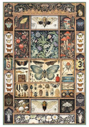 Ciao Bella - Decopatch Papier "Cabinet of Curiosites Mixed" Rice Paper A4 - 4 Bogen