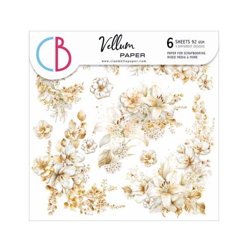 Ciao Bella - Pergamentpapier "Blessing Day" Vellum 6x6 Inch - 6 Bogen