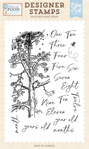Echo Park - Stempelset "First Year Milestones" Clear Stamps