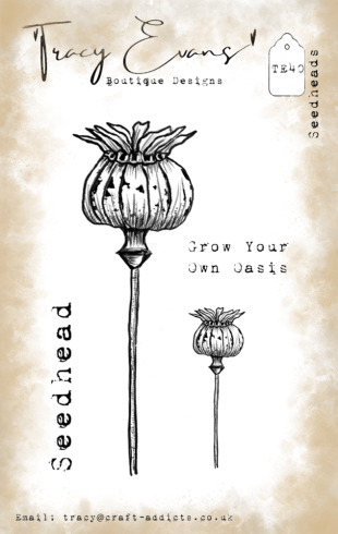 Tracy Evans - Stempelset "Seedheads" Clear Stamps