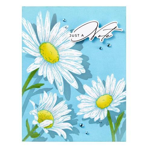 Spellbinders - Buchdrucktechnik "Daisy Trio" BetterPress Plate