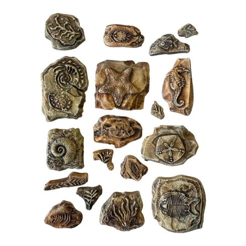 Stamperia - Gießform A5 "Fossils" Soft Mould 