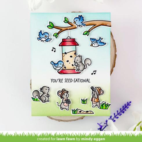 Lawn Fawn - Stempelset "Backyard Bird Feeder" Clear Stamp