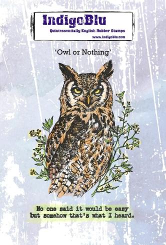 IndigoBlu - Gummistempel Set "Owl or Nothing" A6 Rubber Stamp