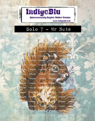 IndigoBlu - Gummistempel "Solo 7 Mr Nuts Rubber" 8x6cm Rubber Stamp
