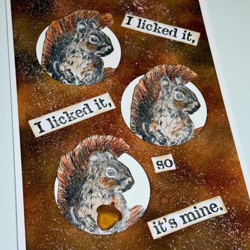 IndigoBlu - Gummistempel "Solo 7 Mr Nuts Rubber" 8x6cm Rubber Stamp