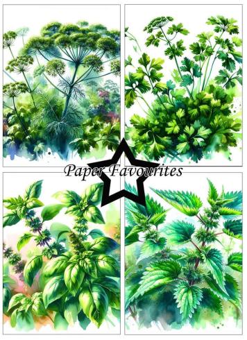 Paper Favourites - Designpapier "Herbs" Paper Pack A6 - 24 Bogen