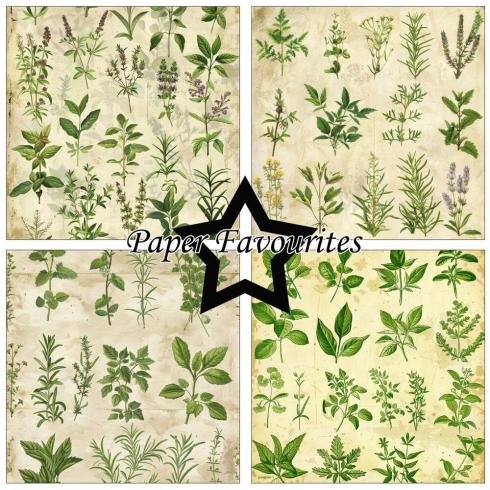 Paper Favourites - Designpapier "Kitchen Herbs" Paper Pack 12x12 Inch 8 Bogen