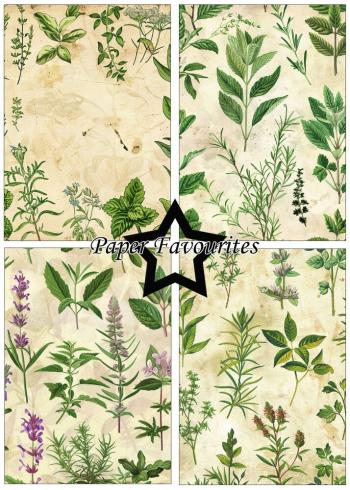 Paper Favourites - Designpapier "Kitchen Herbs" Paper Pack A5 - 24 Bogen