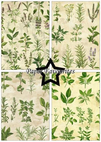 Paper Favourites - Designpapier "Kitchen Herbs" Paper Pack A5 - 24 Bogen