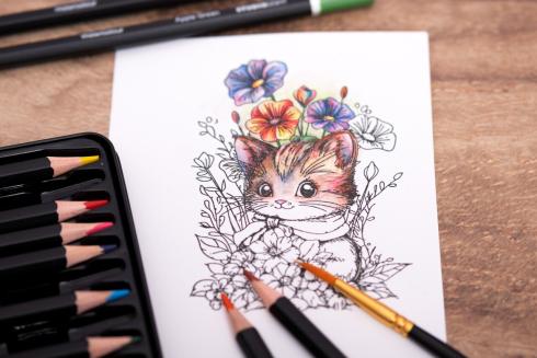 Studio Light - Aquarellbuntstifte - Artist Quality Watercolor Pencils 12-teilig