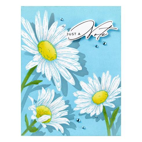 Spellbinders - Buchdrucktechnik "Daisy Trio" BetterPress Plate & Stencil