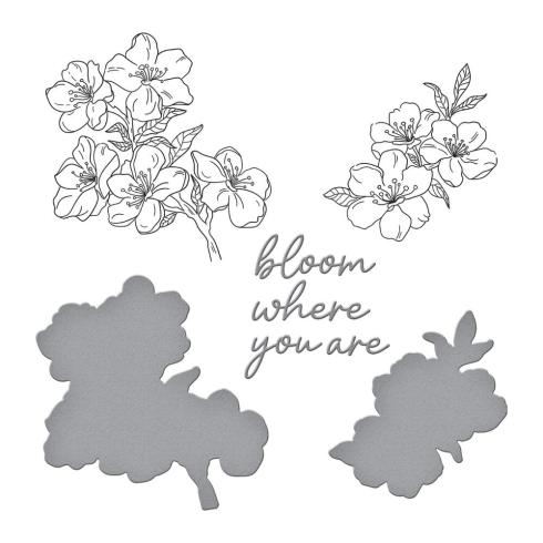 Spellbinders - Buchdrucktechnik "Cherry Blossoms" BetterPress Plate & Dies