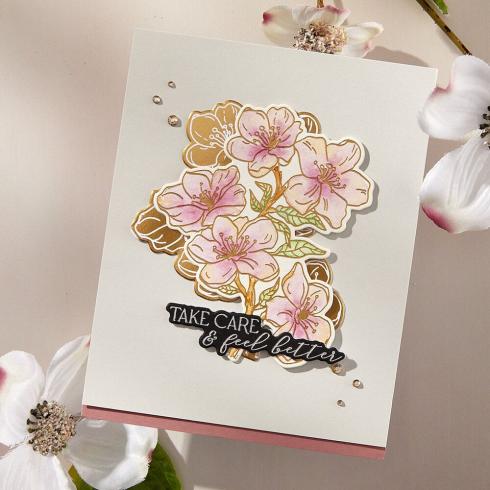 Spellbinders - Buchdrucktechnik "Cherry Blossoms" BetterPress Plate & Dies