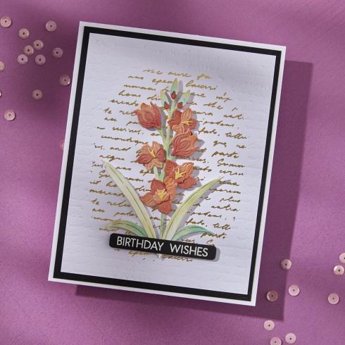 Spellbinders - Buchdrucktechnik "Script Tekst" BetterPress Plate