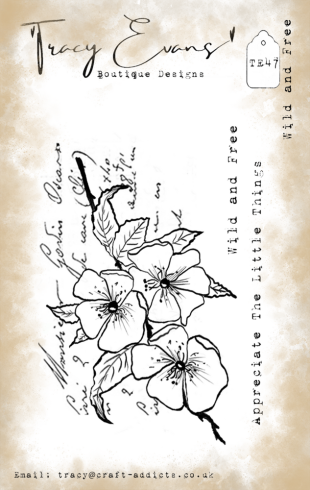 Tracy Evans - Stempelset "Wild and Free" Clear Stamps