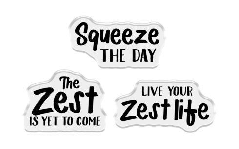 Crafters Companion - Stempelset & Stanzschablone "Live your Zest Life" Stamp & Dies
