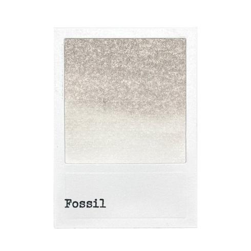 Ranger - Dye Ink Pad "Fossil" Design by 49 and Market - Pigment Stempelkissen