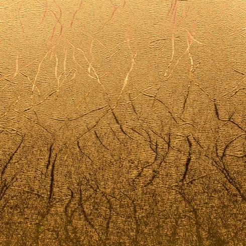 Cricut Joy™ - Premium Vinyl Textured Matte™ "Metallic Gold"
