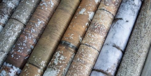Craft Consortium - Designpapier "Frosted Wood" Paper Pad 12x12 Inch - 30 Bogen