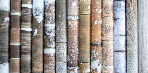 Craft Consortium - Designpapier "Frosted Wood" Paper Pad 6x6 Inch - 40 Bogen