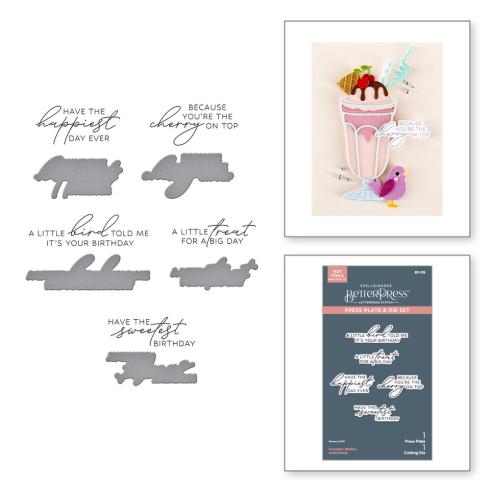Preview: Spellbinders - Buchdrucktechnik "Fountain Wishes Sentiments" BetterPress Plate & Dies