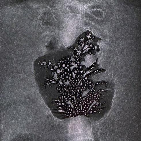 Preview: Lindys Stamp Gang - Glitz Spritz Spray "Lycan Lilac" 59ml