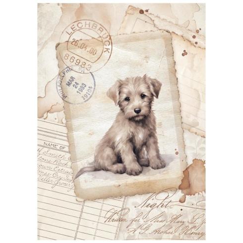 Preview: Stamperia - Decopatch Papier "Quiet Days" Decoupage A6 - 8 Bogen  