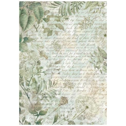 Stamperia - Decopatch Papier "Backgrounds" Decoupage A6 - 8 Bogen  