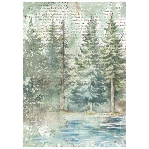 Preview: Stamperia - Decopatch Papier "Herbarium Silvae" Decoupage A6 - 8 Bogen  