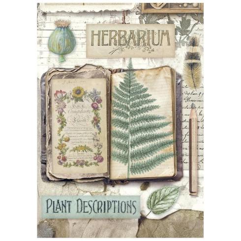 Stamperia - Decopatch Papier "Herbarium Silvae" Decoupage A6 - 8 Bogen  