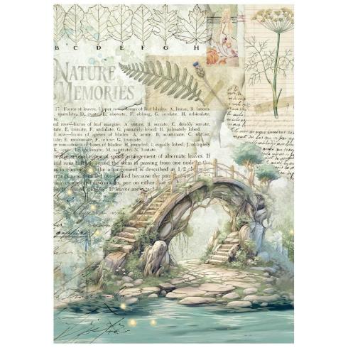 Stamperia - Decopatch Papier "Herbarium Silvae" Decoupage A6 - 8 Bogen  