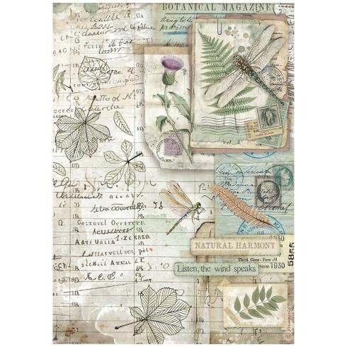 Preview: Stamperia - Decopatch Papier "Herbarium Silvae" Decoupage A4 - 6 Bogen  