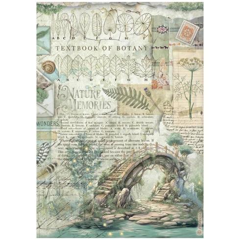 Preview: Stamperia - Decopatch Papier "Herbarium Silvae" Decoupage A4 - 6 Bogen  