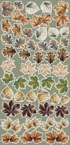 Preview: Craft OClock - Ausschneidebogen "Leaves" Extra Set Creative - 18 Bogen