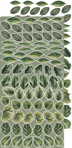 Craft OClock - Ausschneidebogen "Leaves" Extra Set Creative - 18 Bogen