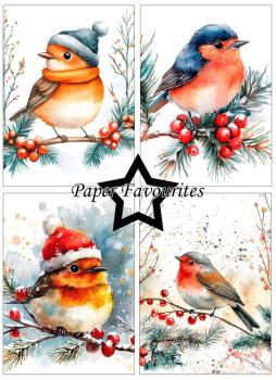 Preview: Paper Favourites - Designpapier "Christmas Birds" Paper Pack A6 - 24 Bogen