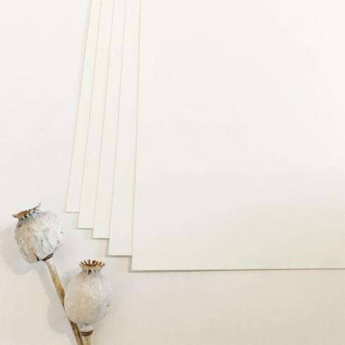 Cardstock "Premium" - Bastelpapier 240g/m² DIN A4 in elfenbein - 5 Bogen
