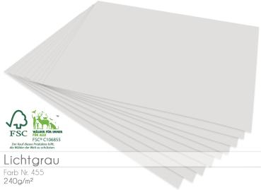 Cardstock "Premium" - Bastelpapier 240g/m² DIN A4 in lichtgrau